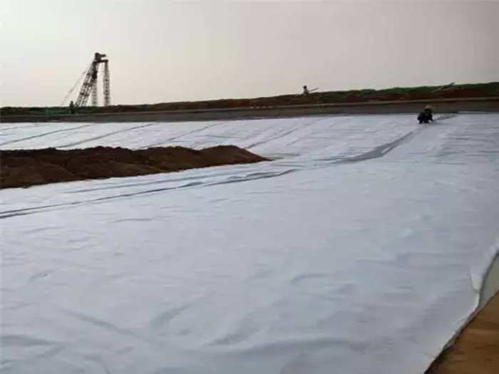 復(fù)合土工膜與土工膜區(qū)別